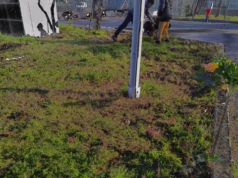 Local de intervenção para criação da futura horta biológica. Início dos trabalhos: Limpeza do terreno de pedras e objetos estranhos e lavrar a terra. À esquerda, encontra-se uma pequena estufa onde decorre a sementeira de várias espécies.